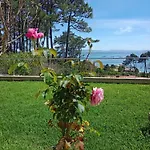 Areos De Cabio *